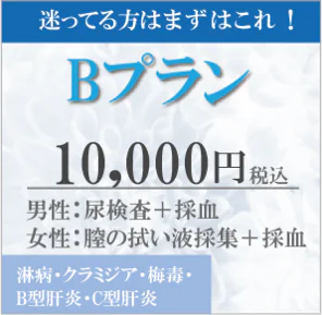 ブライダルチェックBプラン10000円男性or女性　淋病　クラミジア　梅毒　B型肝炎　C型肝炎